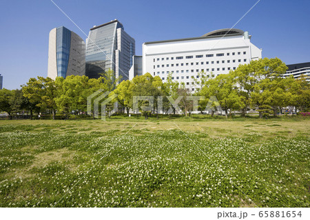 大阪城公園 大阪城公園 65881654