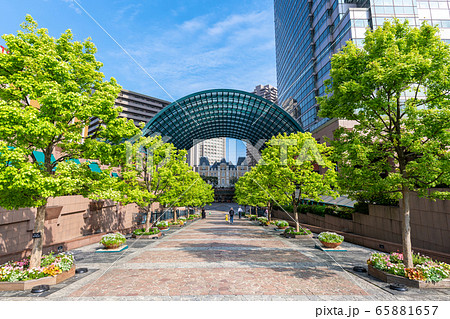 恵比寿ガーデンプレイス 新緑の写真素材