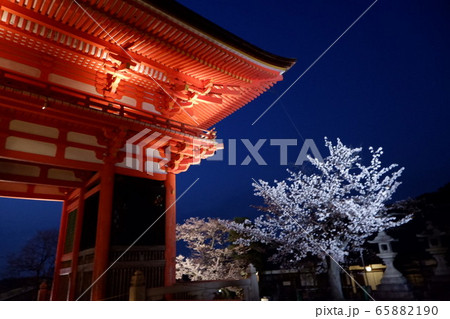 清水寺のライトアップ 清水寺のライトアップ 65882190