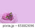 バラ 背景 蝶 65882696