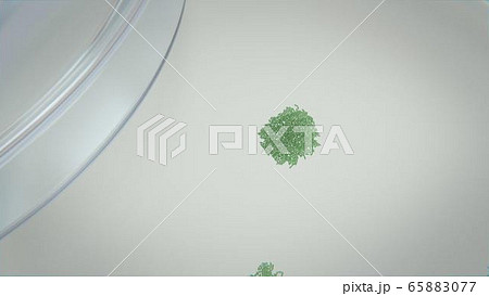 3d render of bacteria and viruses in a petri dish 3d render of bacteria and viruses in a petri dish 65883077