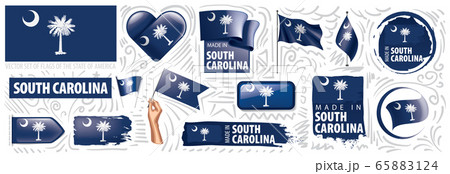 Vector set of flags of the American state of South Carolina in different designs 65883124