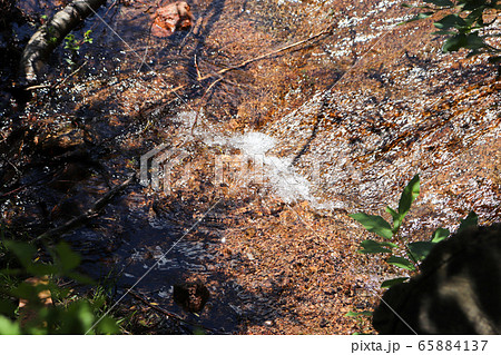 Flowing waterfall stream along hiking trails in Colorado  65884137