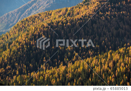 Sunny colorful autumn alpine mountain larch and Sunny colorful autumn alpine mountain larch and 65885013