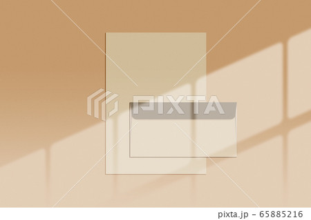 有機 影 本 65885216