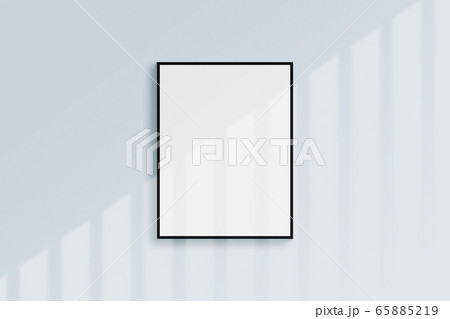 有機 影 本 65885219