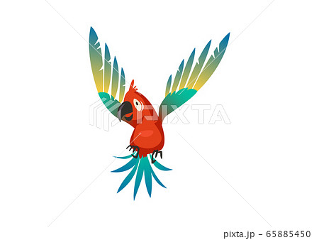 Cute parrot. Colorful beautiful jungle cartoon bird, isolated vector wildlife trendy print 65885450