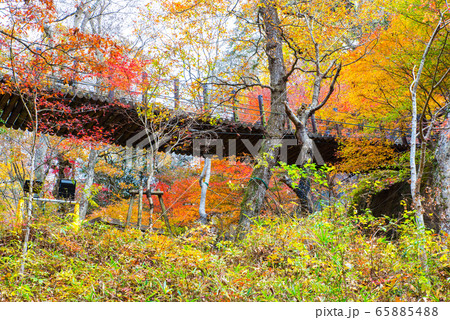 花貫渓谷の秋 汐見滝吊り橋と紅葉風景 (茨城県高萩市) 2019年11月撮影 花貫渓谷の秋 汐見滝吊り橋と紅葉風景 (茨城県高萩市) 2019年11月撮影 65885488