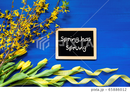 Spring Flowers Decoration, Branch, Blackboard, 65886012