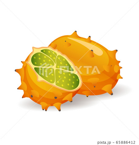 Kiwano or horned melon fruits on white background. Organic tropical treat, vector illustration in flat style. Vegan food 65886412
