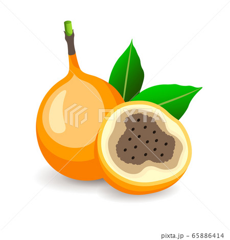 Ripe granadillas with leaves isolated on white. Delicious fruits, vector illustration in flat style. Sweet food Ripe granadillas with leaves isolated on white. Delicious fruits, vector illustration in flat style. Sweet food 65886414