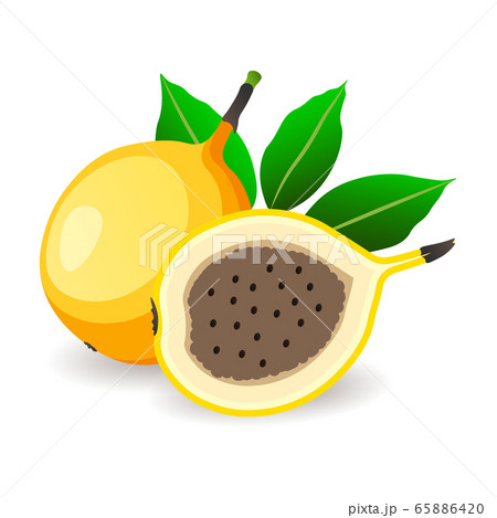 Ripe granadillas with leaves isolated on white. Delicious fruits, vector illustration in flat style. Sweet food Ripe granadillas with leaves isolated on white. Delicious fruits, vector illustration in flat style. Sweet food 65886420