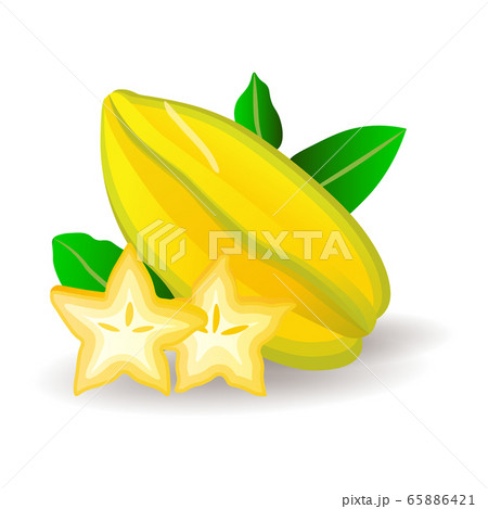 Yummy ripe starfruits with leaves, isolated on white. Juicy exotic fruits, vector illustration in flat style. Healthy eating 65886421
