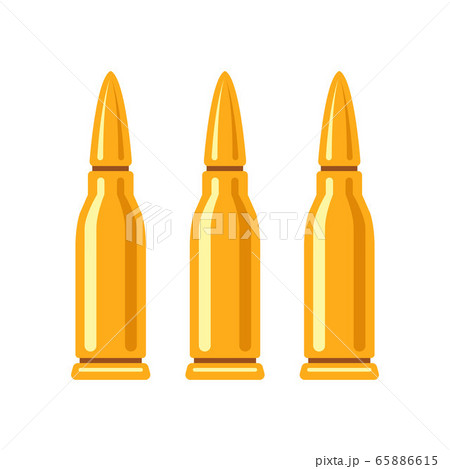 set of combat cartridge for a rifle on a white background. flat vector illustration 65886615