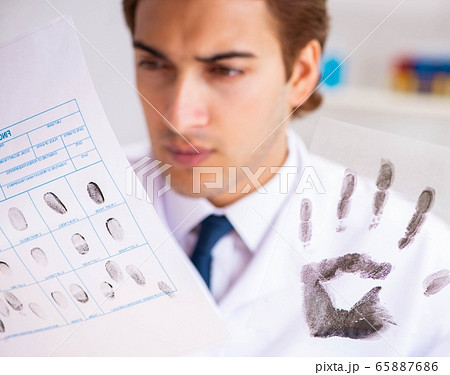 Forensic expert studying fingerprints in the lab 65887686