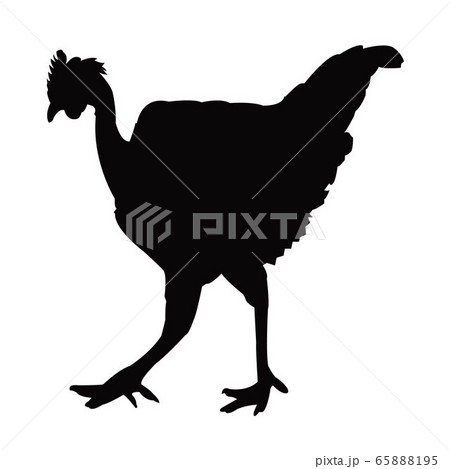 a rooster body silhouette vector 65888195