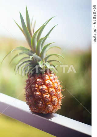 パイナップル 65888769