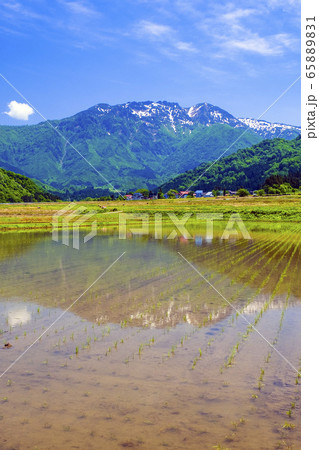 田んぼに映る八海山（縦） 65889831