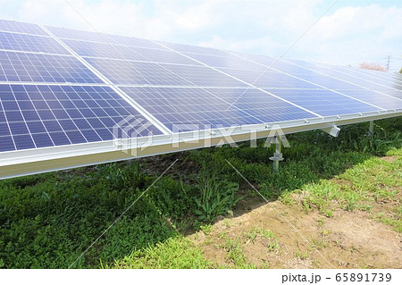 草刈り後の太陽光発電所 65891739