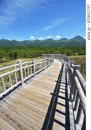 知床五湖の遊歩道から見た知床連山（北海道） 65891747