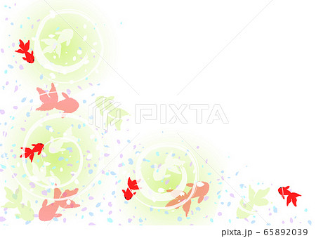 金魚 暑中見舞い 金魚 暑中見舞い 65892039