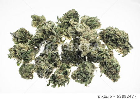 medical marijuana cannabis buds closeup on white 65892477