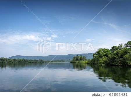 tatai river jungle nature landscape in remote tatai river jungle nature landscape in remote 65892481
