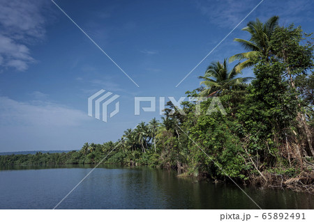 tatai river jungle nature landscape in remote 65892491