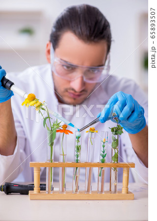Young male chemist working in the lab 65893507