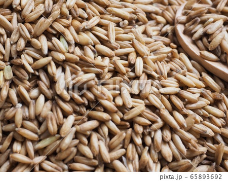 大麦 種子 スプーン 65893692