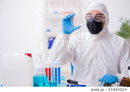 Young male chemist working in medicine lab Young male chemist working in medicine lab 65894024