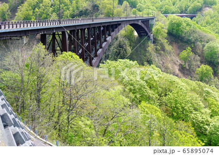 八甲田・十和田ゴールドライン 新緑の回廊 八甲田・十和田ゴールドライン 新緑の回廊 65895074