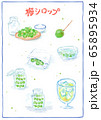 梅シロップのレシピ水彩画風手描きイラスト　梅仕事　作り方 65895934