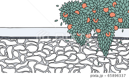 Hand drawn orange fruit and leaves tree with stone wall Hand drawn orange fruit and leaves tree with stone wall 65896337