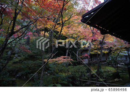 常寂光寺 京都 紅葉 常寂光寺 京都 紅葉 65896498