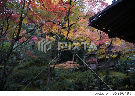 常寂光寺 京都 紅葉 常寂光寺 京都 紅葉 65896499