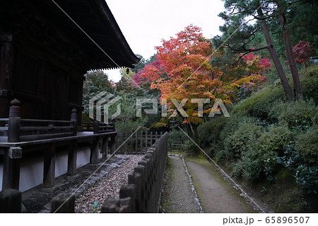 常寂光寺 京都 紅葉 常寂光寺 京都 紅葉 65896507