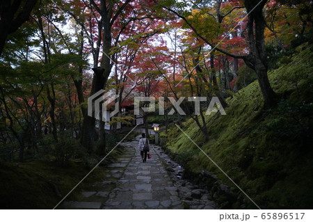 常寂光寺 京都 紅葉 常寂光寺 京都 紅葉 65896517