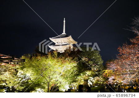 東寺　京都　紅葉　ライトアップ 65896734