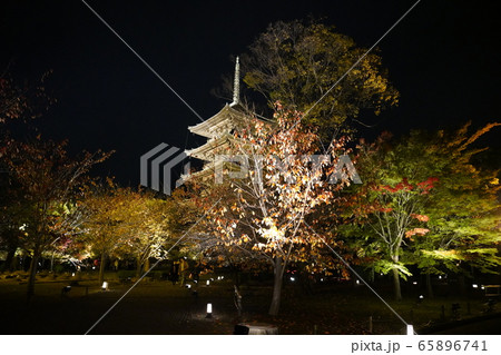 東寺 京都 紅葉 ライトアップ 東寺 京都 紅葉 ライトアップ 65896741
