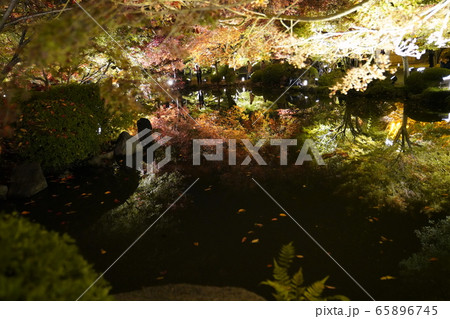 東寺 京都 紅葉 ライトアップ 東寺 京都 紅葉 ライトアップ 65896745