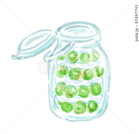 蓋の開いた保存瓶に入れた青梅と砂糖の手描き水彩画風イラスト 作り方 レシピイラストのイラスト素材