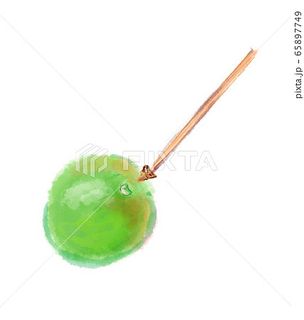 爪楊枝、竹串で青梅のヘタを取るシーンの水彩画風手描きイラスト 爪楊枝、竹串で青梅のヘタを取るシーンの水彩画風手描きイラスト 65897749