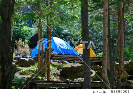 白駒の池キャンプ場の写真素材