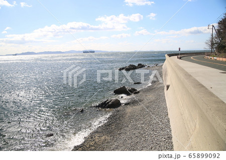 西浦海岸 65899092