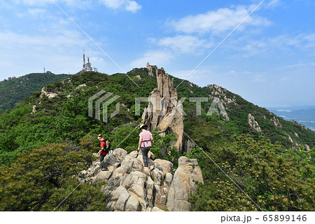 冠岳山 登山 冠岳区 65899146