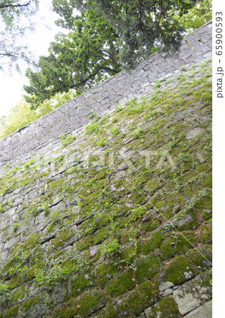 盛岡城の石垣(盛岡城跡公園(岩手公園)/岩手県盛岡市内丸1-37) 盛岡城の石垣(盛岡城跡公園(岩手公園)/岩手県盛岡市内丸1-37) 65900593
