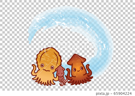 squid  65904224