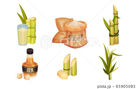 Sugar Cane Unbranched Stems with Leaves and Superfood like Brown Granulated Sugar Vector Set 65905083