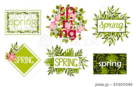 Rectangular and Circular Frames and Borders with Green Twigs and Pink Flowers Vector Set 65905096